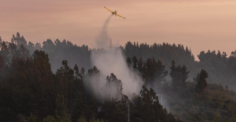 Alerta máxima en Chile tras 19 muertos por incendios forestales ...